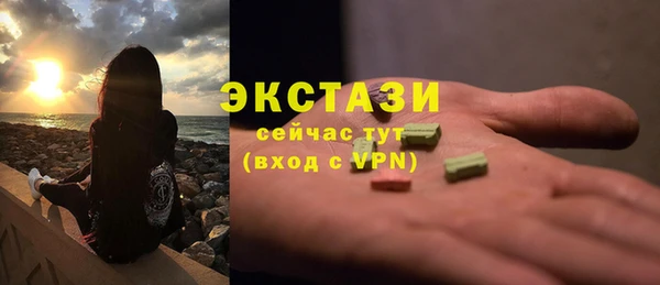 МДПВ Краснослободск