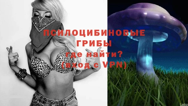 МДПВ Краснослободск