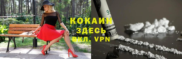 МДПВ Краснослободск